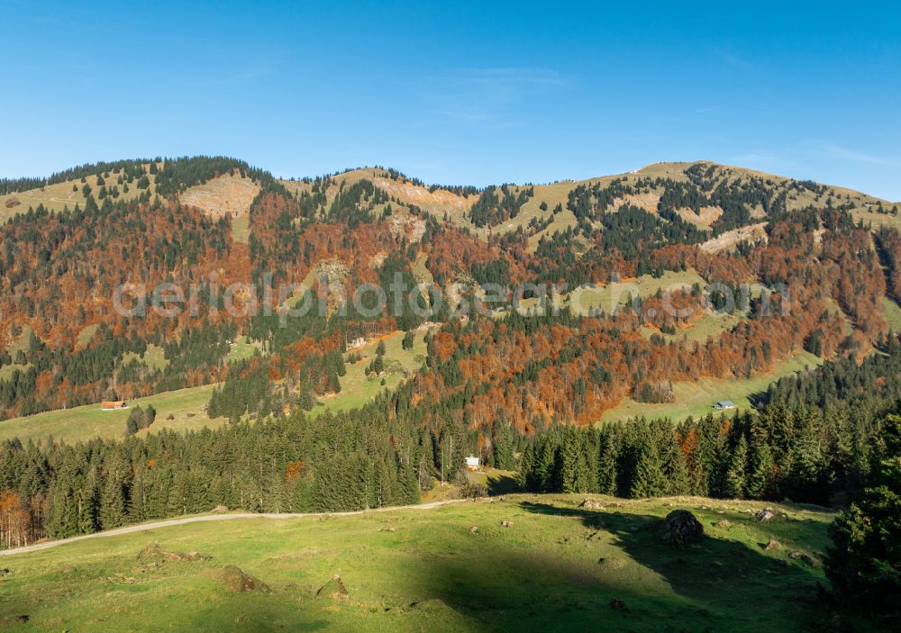 Lecknertal from above - Autumnal colored vegetation view in the Lecknertal in the Bregenz Forest with the Nagelfluh mountain range in Vorarlberg, Austria