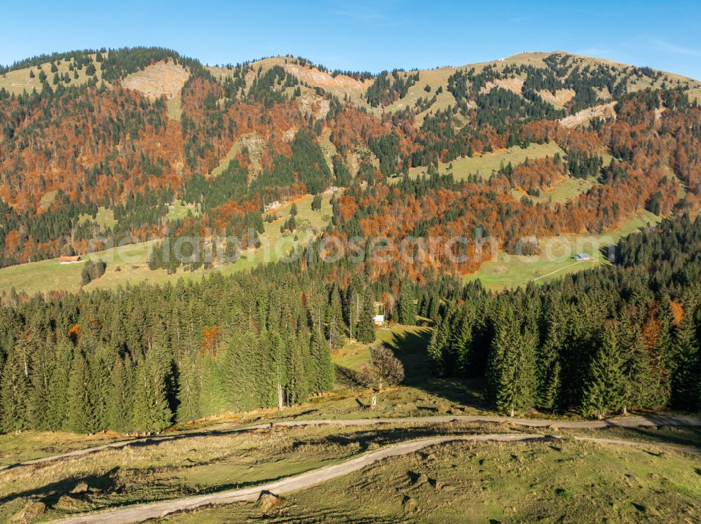 Lecknertal from the bird's eye view: Autumnal colored vegetation view in the Lecknertal in the Bregenz Forest with the Nagelfluh mountain range in Vorarlberg, Austria