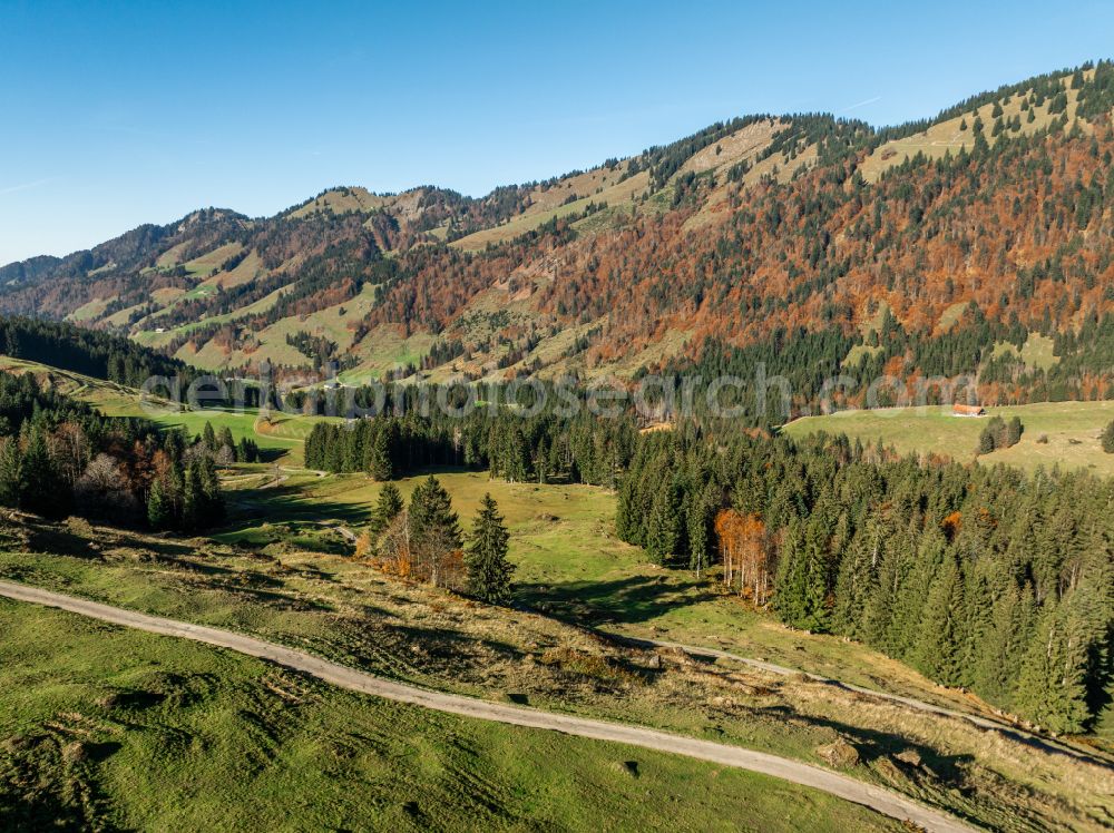 Aerial image Lecknertal - Autumnal colored vegetation view in the Lecknertal in the Bregenz Forest with the Nagelfluh mountain range in Vorarlberg, Austria