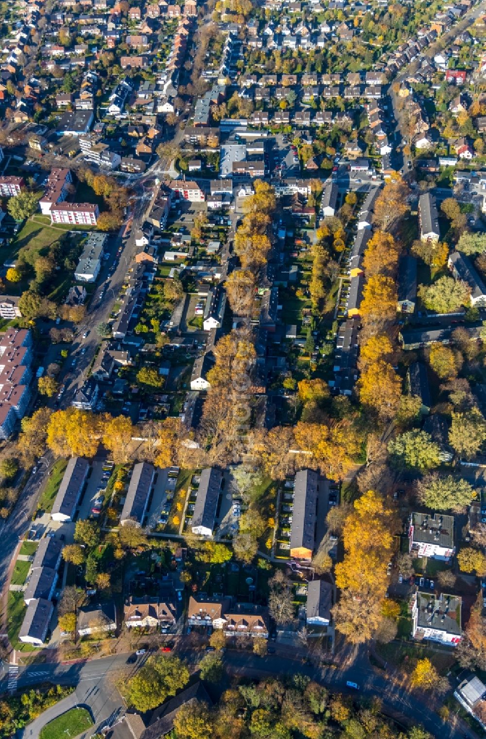 Dinslaken from the bird's eye view: Autumnal discolored vegetation view residential area of a multi-family house settlement with rows of trees on Weissenburgstrasse - Woerthstrasse - Katharinenstrasse in Dinslaken in the state North Rhine-Westphalia, Germany