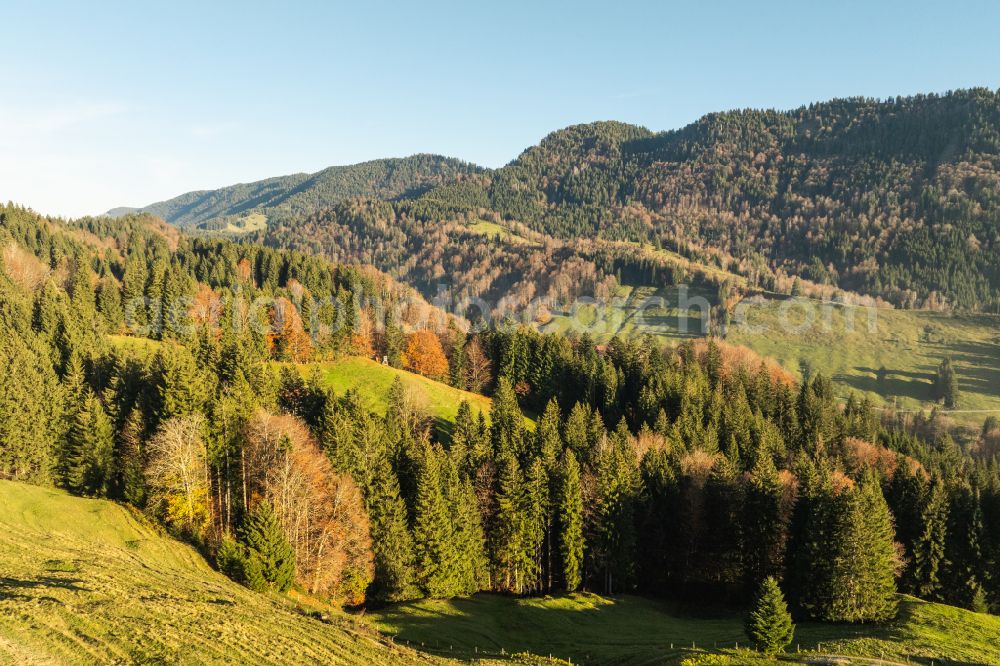 Oberstaufen from the bird's eye view: Autumnal discolored vegetation view forest and mountain landscape of the mid-mountain range of Naglflugkette on Huendle on street Hinterstaufen in Oberstaufen Allgaeu in the state Bavaria, Germany