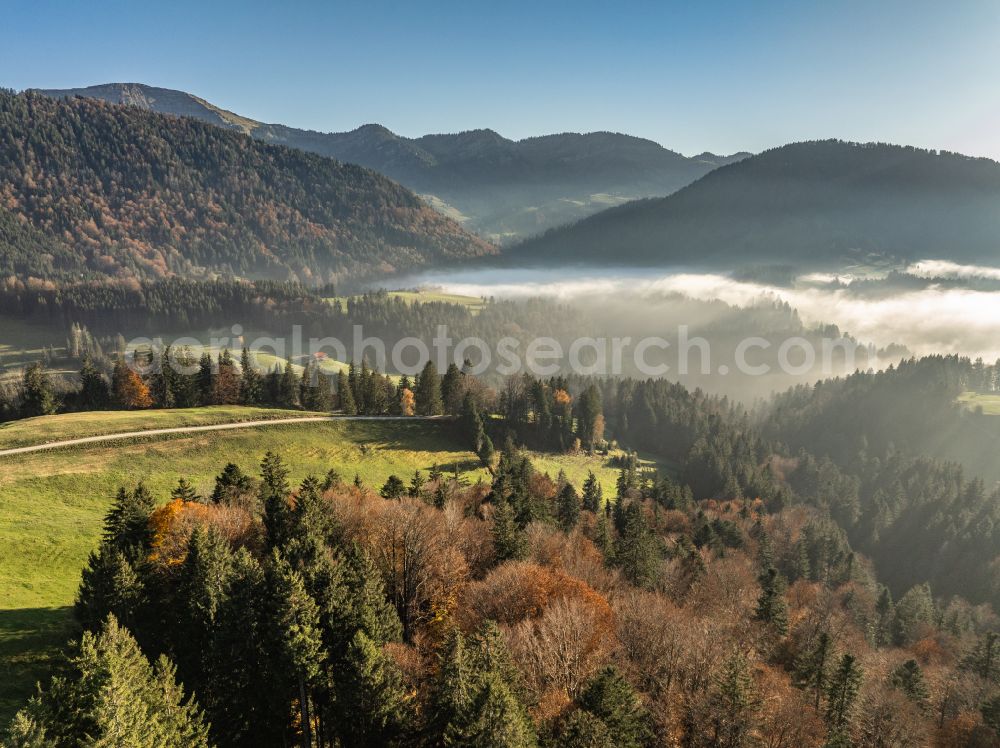 Aerial image Oberstaufen - Autumnal discolored vegetation view forest and mountain landscape of the mid-mountain range of Naglflugkette on Huendle on street Hinterstaufen in Oberstaufen Allgaeu in the state Bavaria, Germany