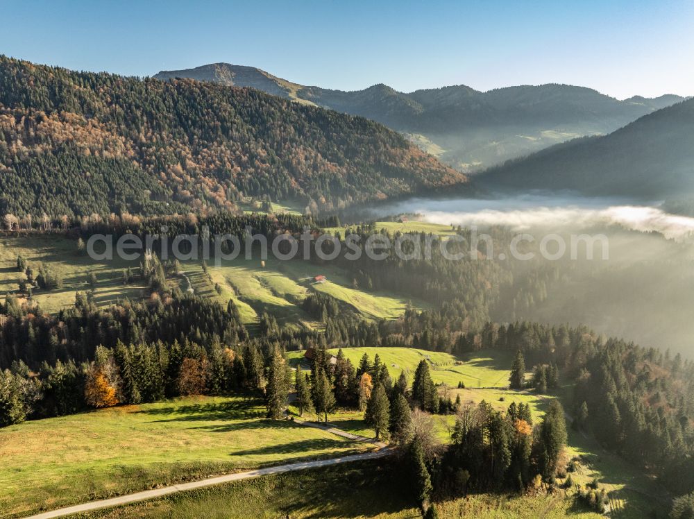 Aerial photograph Oberstaufen - Autumnal discolored vegetation view forest and mountain landscape of the mid-mountain range of Naglflugkette on Huendle on street Hinterstaufen in Oberstaufen Allgaeu in the state Bavaria, Germany