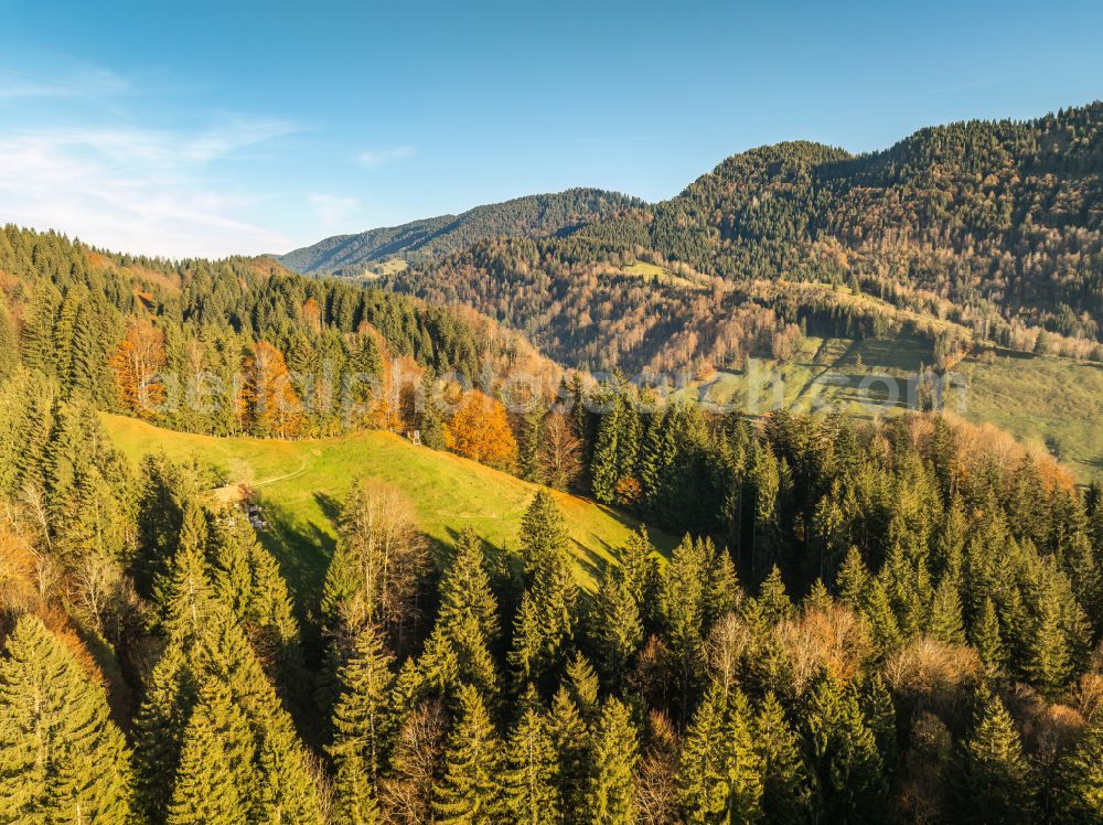 Aerial photograph Oberstaufen - Autumnal discolored vegetation view forest and mountain landscape of the mid-mountain range of Naglflugkette on Huendle on street Hinterstaufen in Oberstaufen Allgaeu in the state Bavaria, Germany