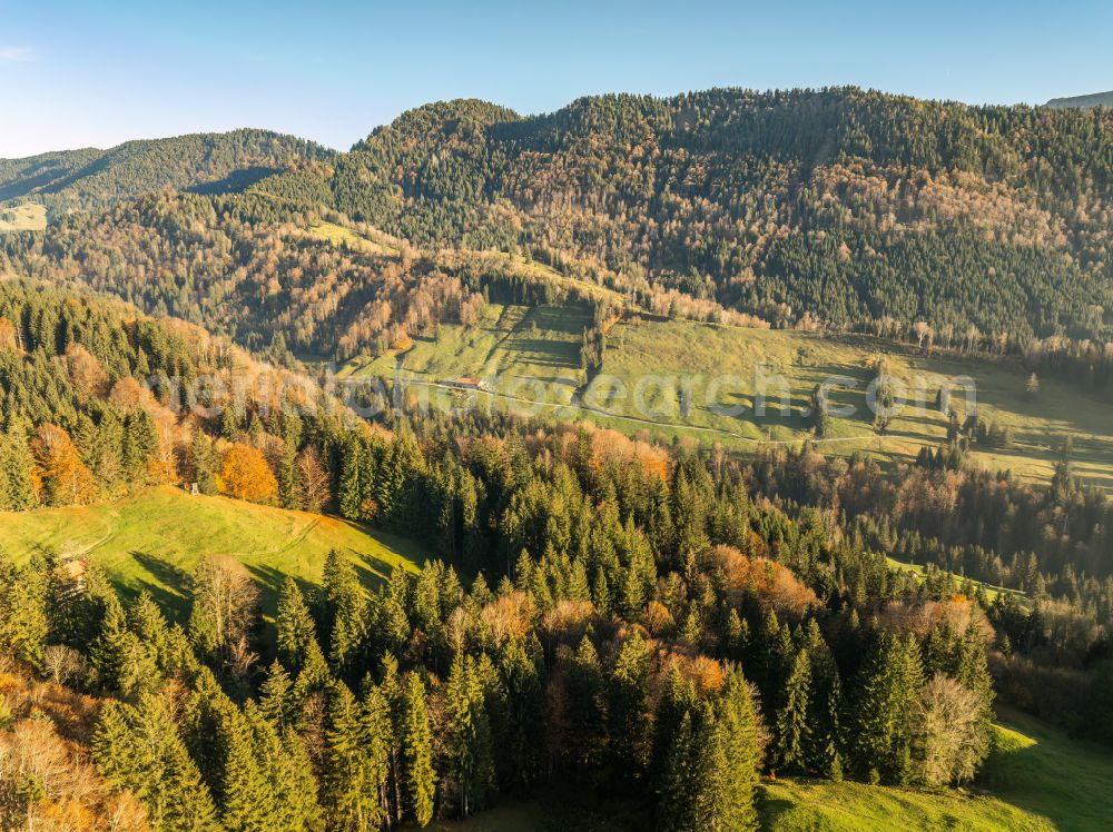 Oberstaufen from above - Autumnal discolored vegetation view forest and mountain landscape of the mid-mountain range of Naglflugkette on Huendle on street Hinterstaufen in Oberstaufen Allgaeu in the state Bavaria, Germany