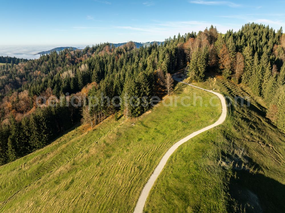 Oberstaufen from the bird's eye view: Autumnal discolored vegetation view forest and mountain landscape of the mid-mountain range of Naglflugkette on Huendle on street Hinterstaufen in Oberstaufen Allgaeu in the state Bavaria, Germany