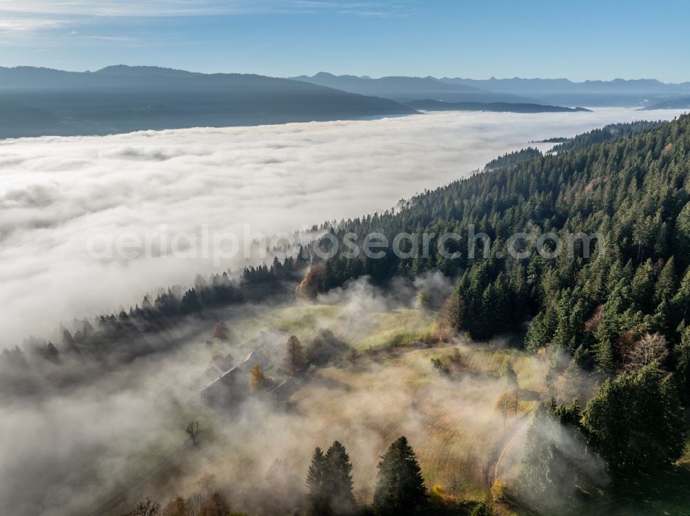 Aerial image Irsengund - Autumnal colored vegetation view. Weather-related fog banks and cloud layer over forest and meadow landscape in the Allgaeu in the district of Oberreute in Irsengund in the federal state of Bavaria, Germany