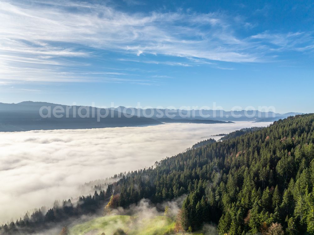 Irsengund from the bird's eye view: Autumnal colored vegetation view. Weather-related fog banks and cloud layer over forest and meadow landscape in the Allgaeu in the district of Oberreute in Irsengund in the federal state of Bavaria, Germany