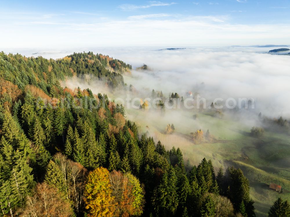 Aerial image Irsengund - Autumnal colored vegetation view. Weather-related fog banks and cloud layer over forest and meadow landscape in the Allgaeu in the district of Oberreute in Irsengund in the federal state of Bavaria, Germany