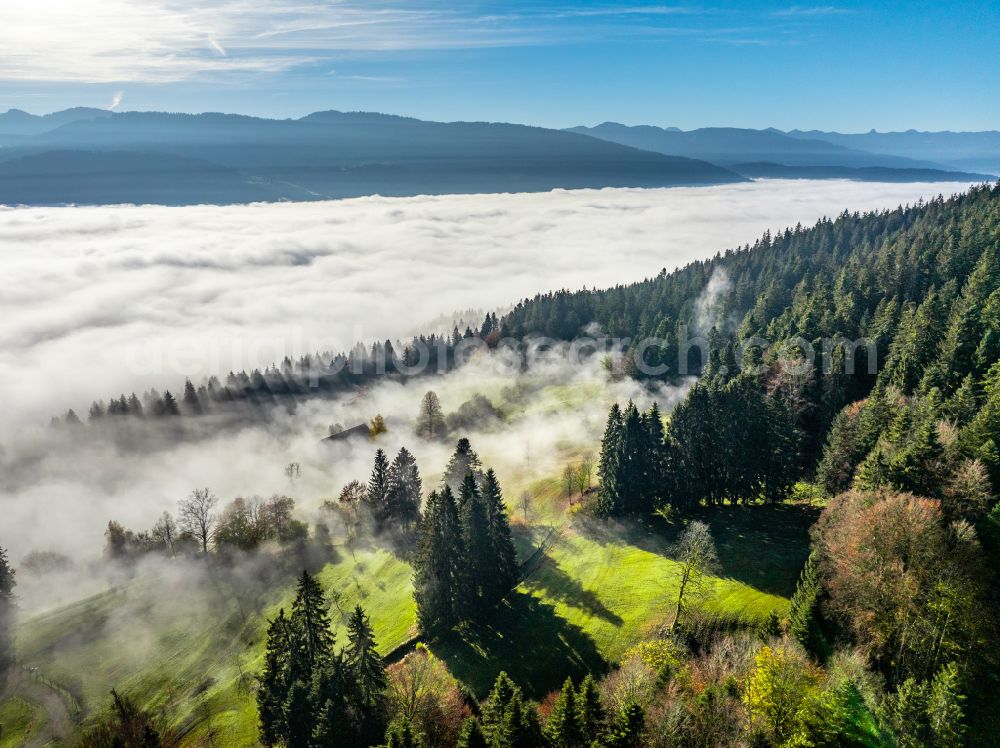 Irsengund from above - Autumnal colored vegetation view. Weather-related fog banks and cloud layer over forest and meadow landscape in the Allgaeu in the district of Oberreute in Irsengund in the federal state of Bavaria, Germany