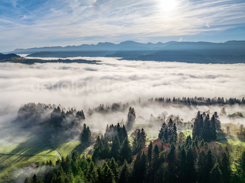 Irsengund from the bird's eye view: Autumnal colored vegetation view. Weather-related fog banks and cloud layer over forest and meadow landscape in the Allgaeu in the district of Oberreute in Irsengund in the federal state of Bavaria, Germany