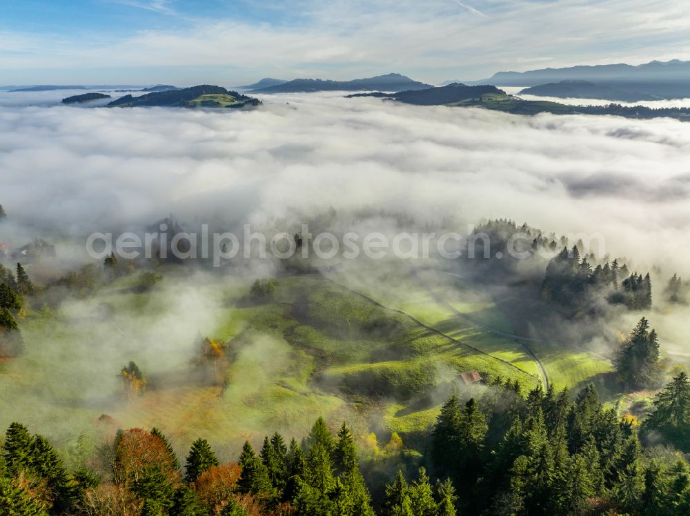 Aerial photograph Irsengund - Autumnal colored vegetation view. Weather-related fog banks and cloud layer over forest and meadow landscape in the Allgaeu in the district of Oberreute in Irsengund in the federal state of Bavaria, Germany