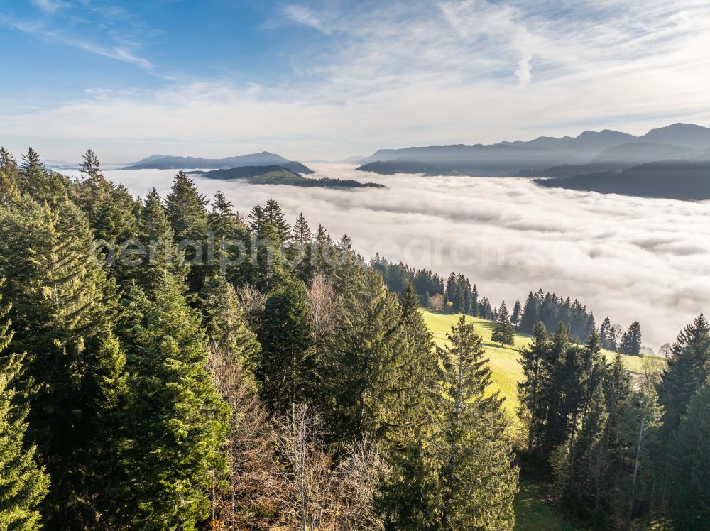 Aerial photograph Irsengund - Autumnal colored vegetation view. Weather-related fog banks and cloud layer over forest and meadow landscape in the Allgaeu in the district of Oberreute in Irsengund in the federal state of Bavaria, Germany