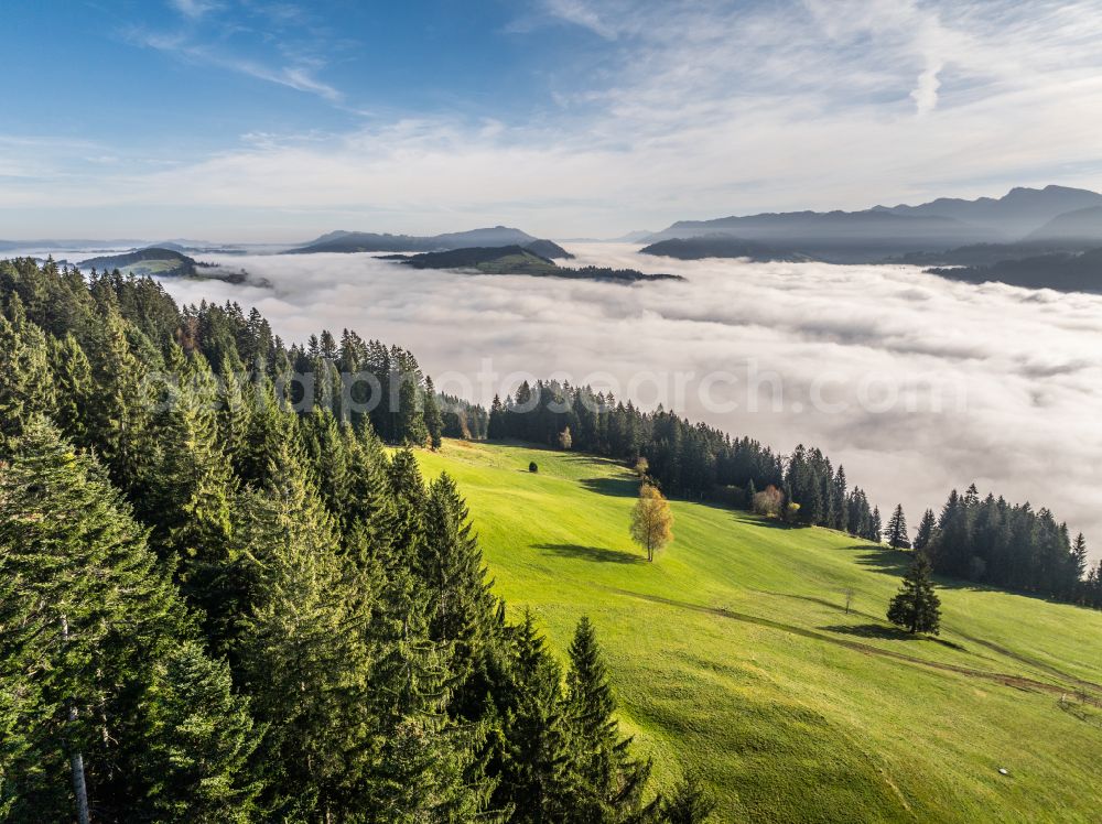 Irsengund from above - Autumnal colored vegetation view. Weather-related fog banks and cloud layer over forest and meadow landscape in the Allgaeu in the district of Oberreute in Irsengund in the federal state of Bavaria, Germany