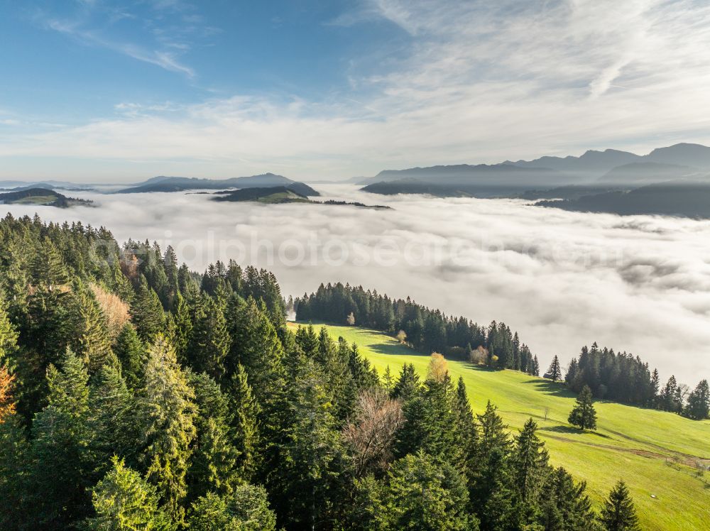 Irsengund from above - Autumnal colored vegetation view. Weather-related fog banks and cloud layer over forest and meadow landscape in the Allgaeu in the district of Oberreute in Irsengund in the federal state of Bavaria, Germany