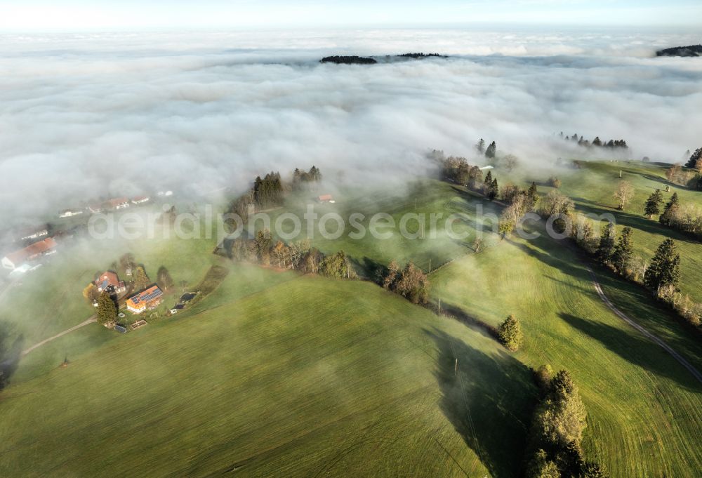 Aerial image Irsengund - Autumnal colored vegetation view. Weather-related fog banks and cloud layer over forest and meadow landscape in the Allgaeu in the district of Oberreute in Irsengund in the federal state of Bavaria, Germany