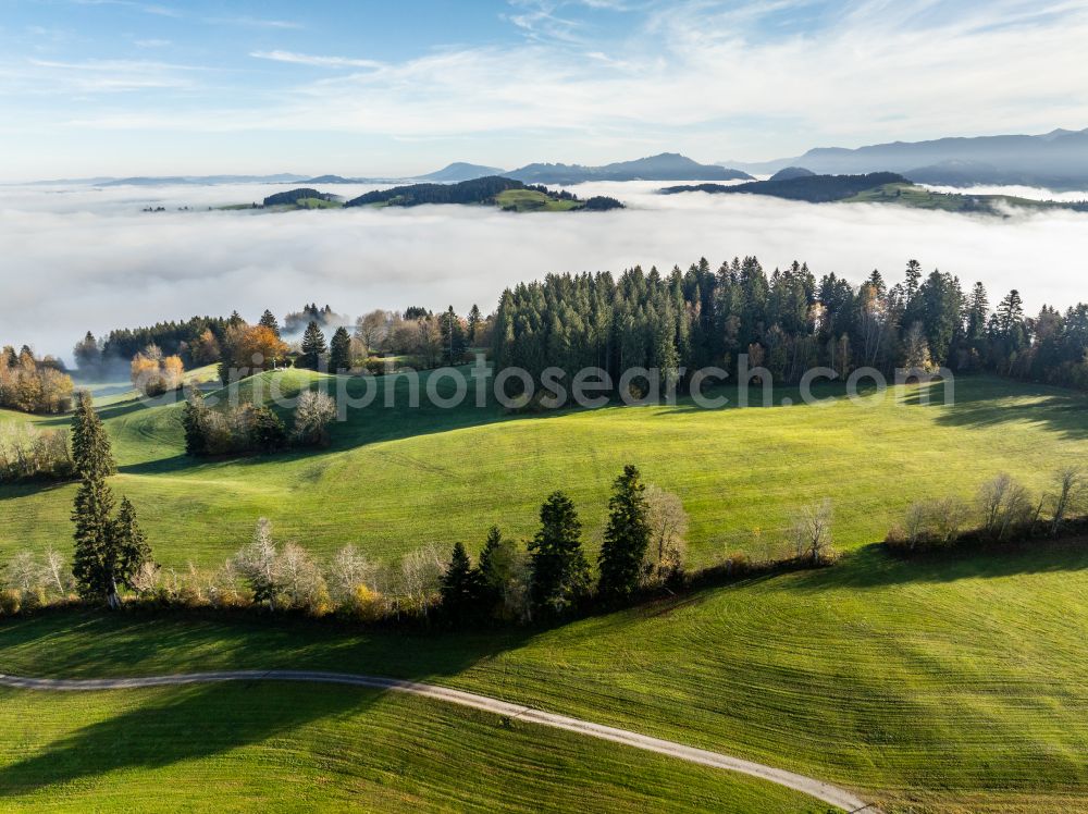 Irsengund from the bird's eye view: Autumnal colored vegetation view. Weather-related fog banks and cloud layer over forest and meadow landscape in the Allgaeu in the district of Oberreute in Irsengund in the federal state of Bavaria, Germany