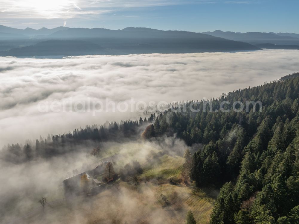 Irsengund from the bird's eye view: Autumnal colored vegetation view. Weather-related fog banks and cloud layer over forest and meadow landscape in the Allgaeu in the district of Oberreute in Irsengund in the federal state of Bavaria, Germany