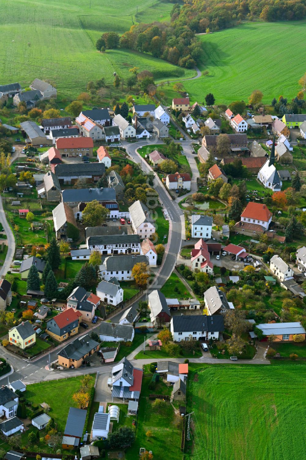 Lastau from above - Autumnal discolored vegetation view village view on the edge of agricultural fields and land in Lastau in the state Saxony, Germany