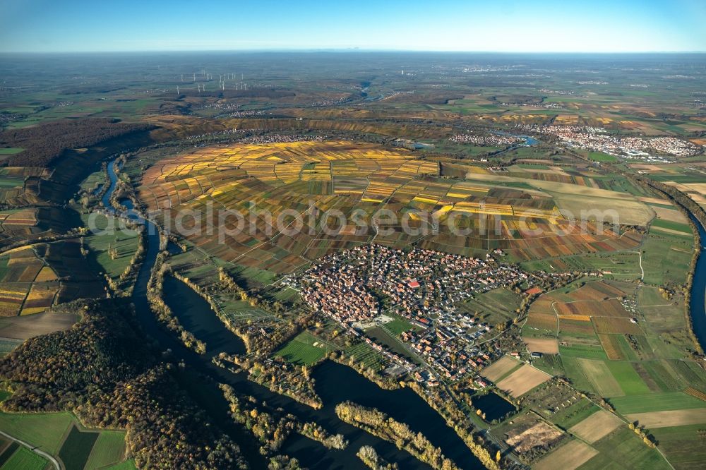 Aerial image Sommerach - Autumn colored vegetation view on the edge of vineyards and wineries in the wine-growing region in the Mainschleife in Sommerach in the state Bavaria, Germany