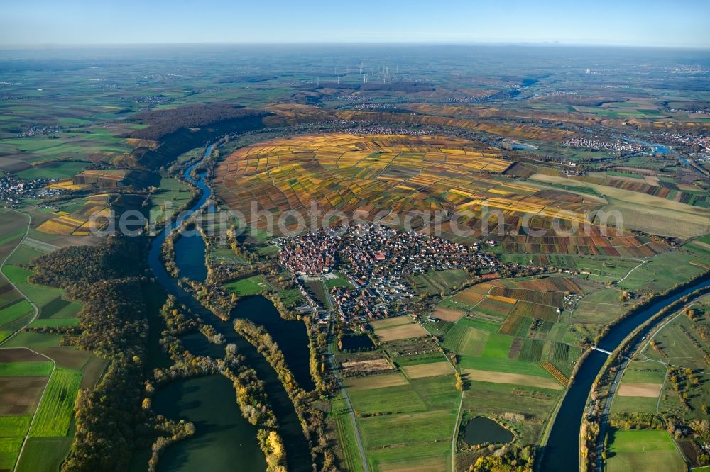 Aerial photograph Sommerach - Autumn colored vegetation view on the edge of vineyards and wineries in the wine-growing region in the Mainschleife in Sommerach in the state Bavaria, Germany