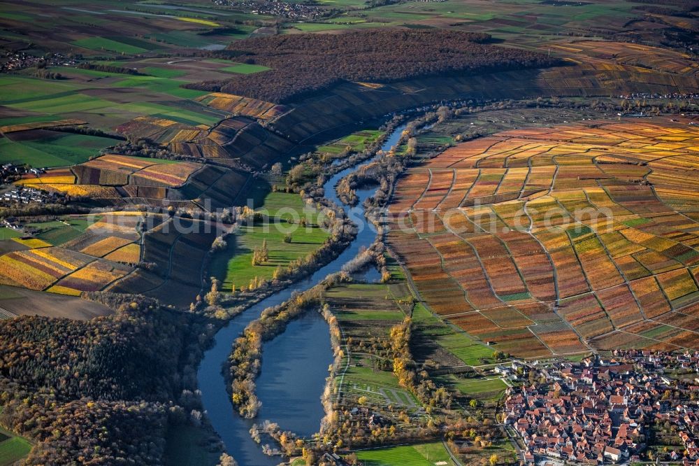 Sommerach from above - Autumn colored vegetation view on the edge of vineyards and wineries in the wine-growing region in the Mainschleife in Sommerach in the state Bavaria, Germany