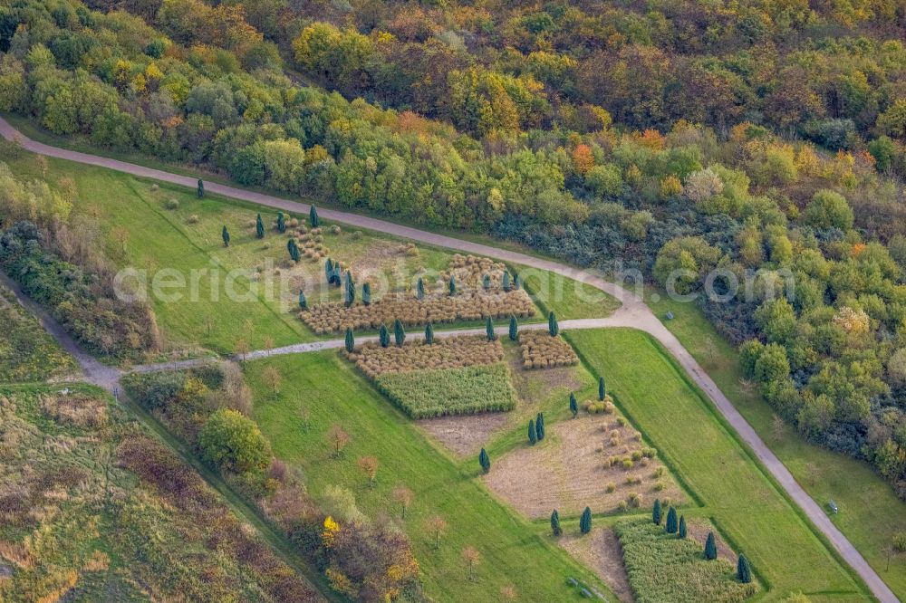 Bergkamen from the bird's eye view: Autumnal discolored vegetation view Park on the reclamation site of the former mining dump Halde Grosses Holz in Bergkamen at Ruhrgebiet in the state North Rhine-Westphalia, Germany