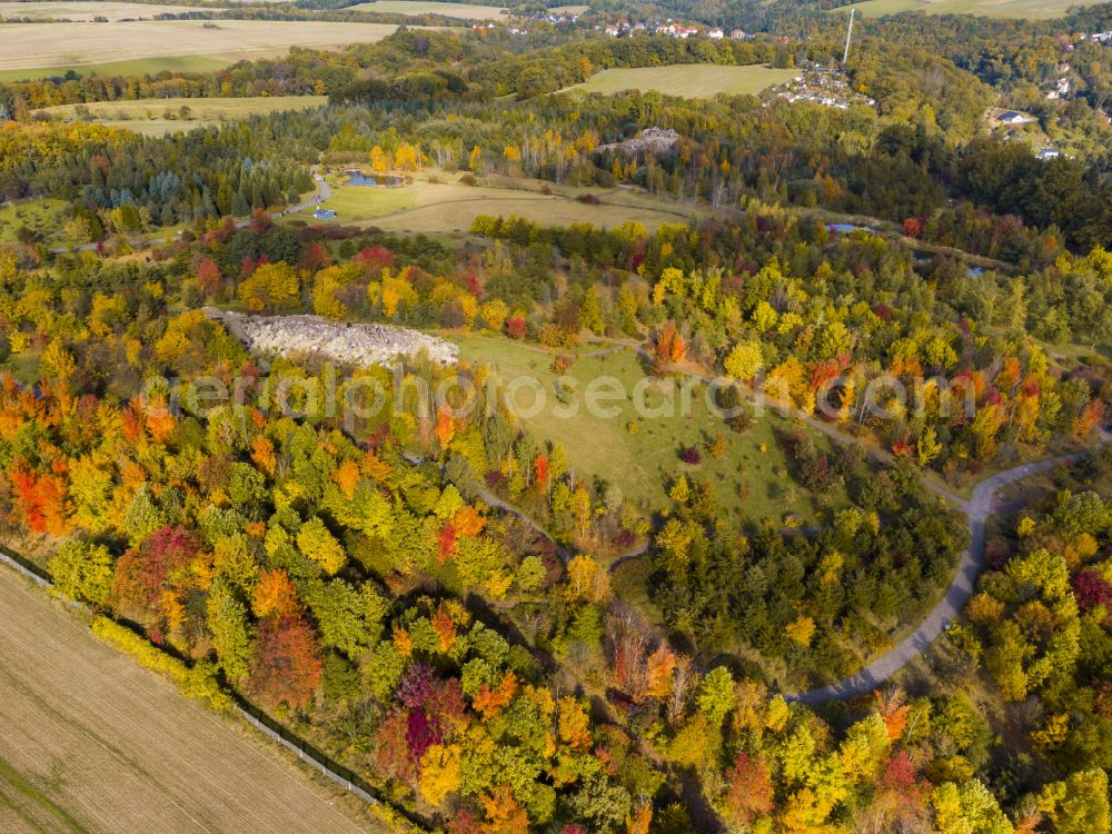 Tharandt from above - Autumnal discolored vegetation view park of Forstbotanischer Garten in Tharandt in the state Saxony, Germany