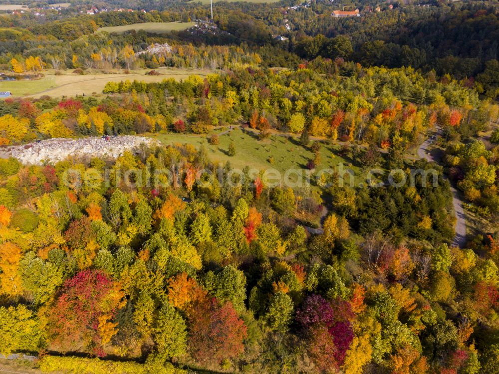 Tharandt from the bird's eye view: Autumnal discolored vegetation view park of Forstbotanischer Garten in Tharandt in the state Saxony, Germany