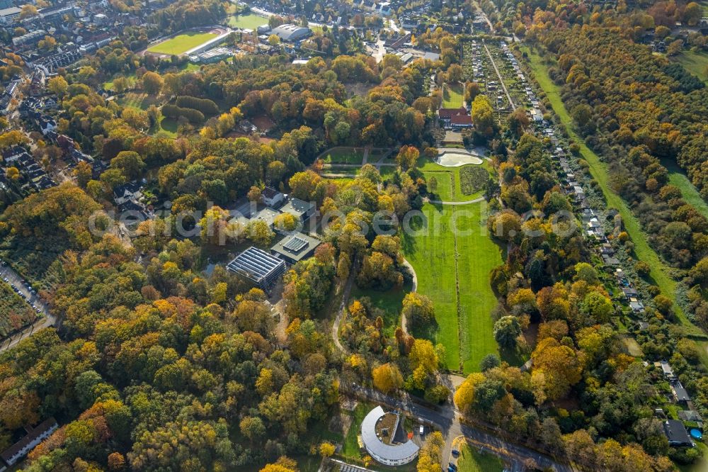 Aerial photograph Bottrop - Autumnal discolored vegetation view park of of Stadtgarten in the district Stadtmitte in Bottrop at Ruhrgebiet in the state North Rhine-Westphalia, Germany