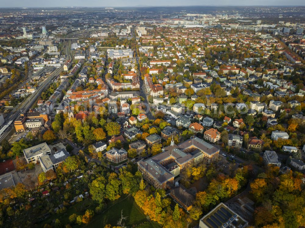 Aerial image Dresden - Autumnal colored vegetation view of Plauen in Dresden in the state of Saxony, Germany