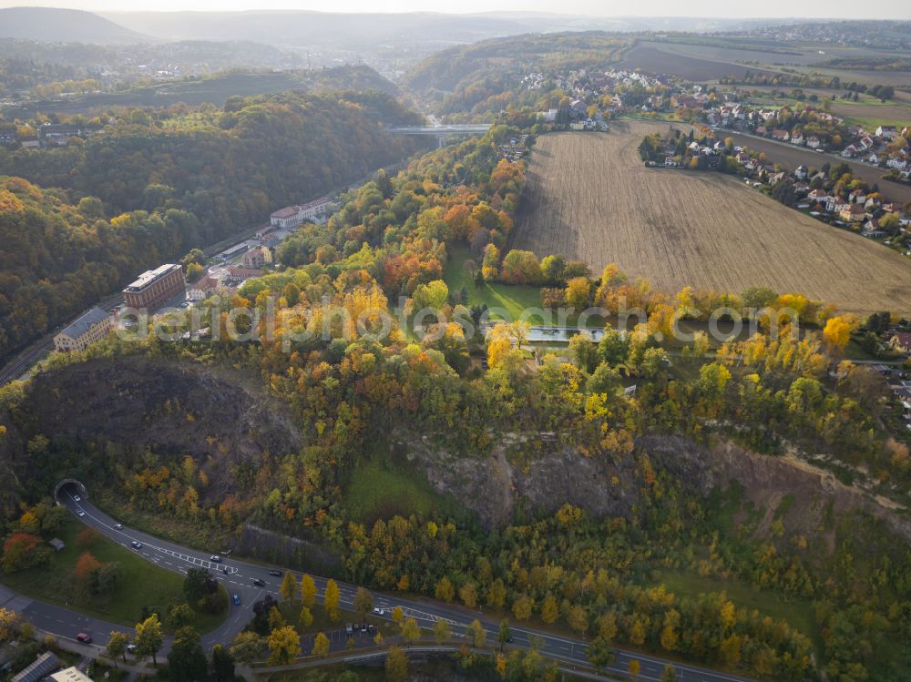 Aerial photograph Dresden - Autumnal colored vegetation view of Plauen in Dresden in the state of Saxony, Germany