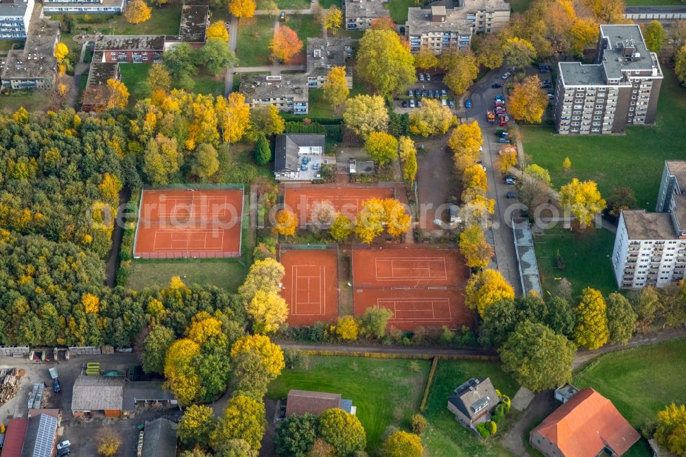 Gladbeck from above - Autumnal discolored vegetation view at the tennis court sports field of Tennisclub Rentfort-Gladbeck in Gladbeck in the state North Rhine-Westphalia, Germany