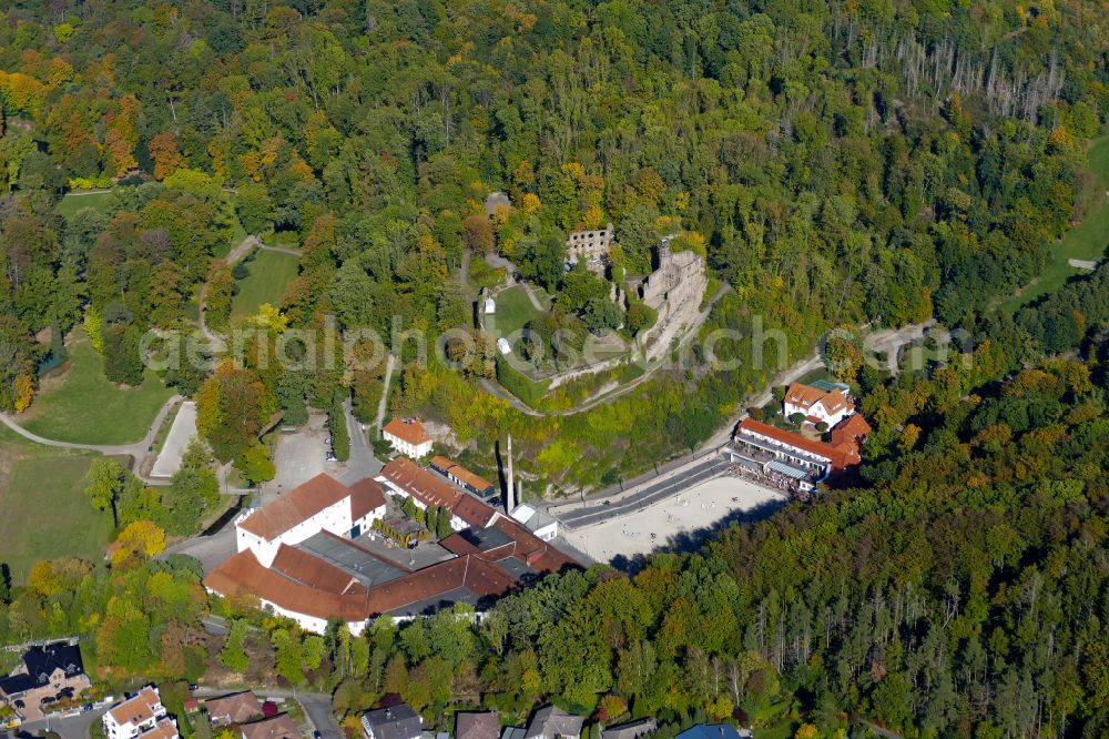 Nörten-Hardenberg from the bird's eye view: Autumnal discolored vegetation view ruins and vestiges of the former castle Hardenberg in Noerten-Hardenberg in the state Lower Saxony, Germany