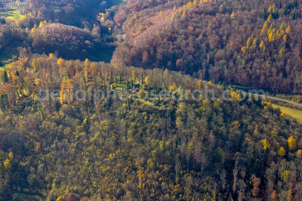 Arnsberg from the bird's eye view: Autumnal discolored vegetation view ruins and vestiges of the former castle Ruedenburg in Arnsberg at Sauerland in the state North Rhine-Westphalia, Germany