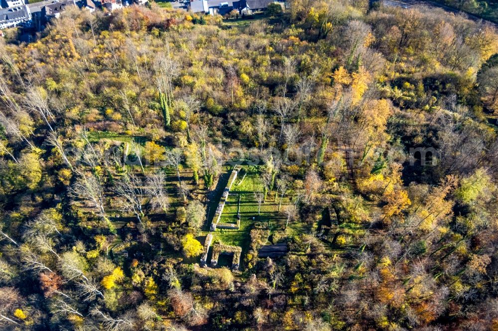 Aerial photograph Arnsberg - Autumnal discolored vegetation view ruins and vestiges of the former castle Ruedenburg in Arnsberg at Sauerland in the state North Rhine-Westphalia, Germany