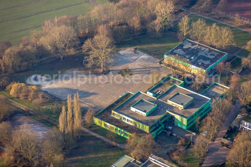 Dorsten from the bird's eye view: Autumnal discolored vegetation view School building of the Gruene Schule on Talaue in Dorsten in the state North Rhine-Westphalia, Germany