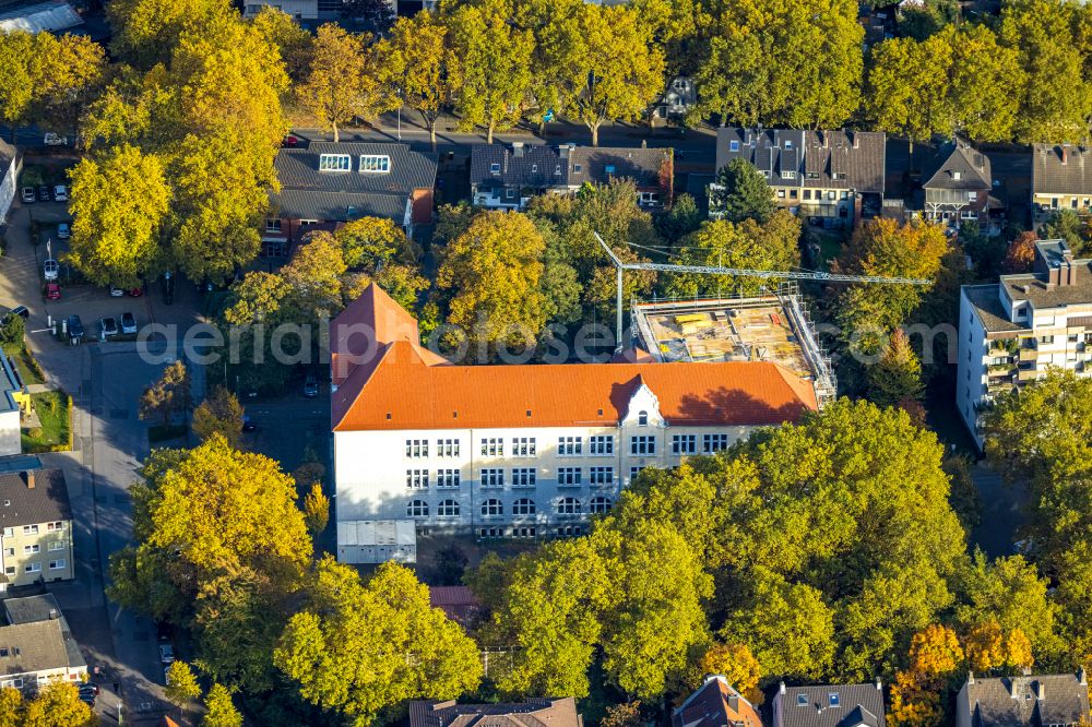 Gladbeck from above - Autumnal discolored vegetation view school building of the Lambertischule on street Kirchstrasse in Gladbeck at Ruhrgebiet in the state North Rhine-Westphalia, Germany