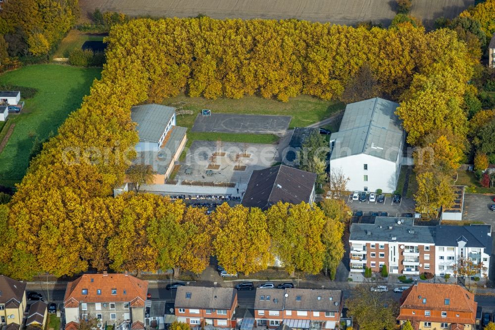 Aerial image Hamm - Autumnal discolored vegetation view school building of the Martin-Luther-Schule on Bockelweg in the district Heessen in Hamm at Ruhrgebiet in the state North Rhine-Westphalia, Germany