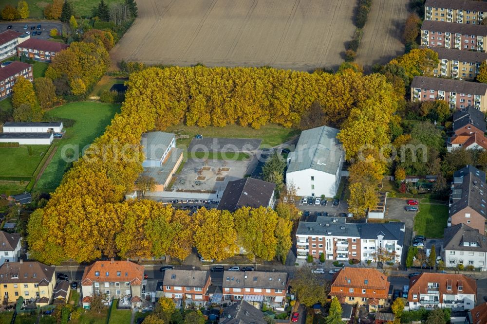 Aerial photograph Hamm - Autumnal discolored vegetation view school building of the Martin-Luther-Schule on Bockelweg in the district Heessen in Hamm at Ruhrgebiet in the state North Rhine-Westphalia, Germany