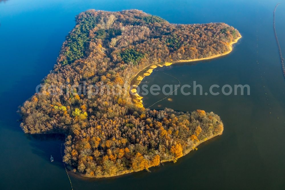 Haltern am See from the bird's eye view: Autumnal discolored vegetation view lake Island in Halterner Stausee in Haltern am See in the state North Rhine-Westphalia, Germany