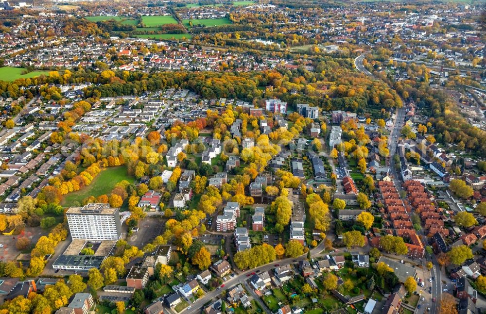 Gladbeck from the bird's eye view: Autumnal discolored vegetation view in the city view of downtown area along the Schwechater Strasse in Gladbeck in the state North Rhine-Westphalia, Germany