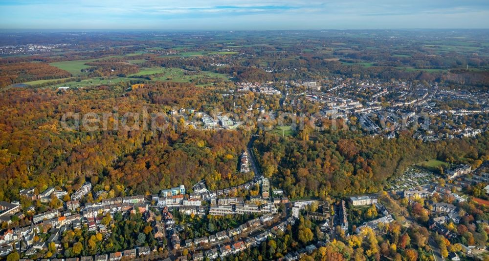 Aerial image Düsseldorf - Autumnal discolored vegetation view in the city view of downtown area with dem Wildpark Grafenberger Wald in Duesseldorf in the state North Rhine-Westphalia, Germany