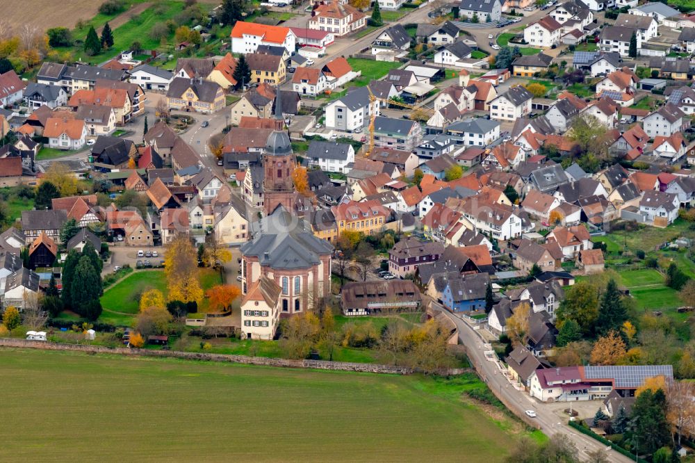 Aerial image Schuttern - Autumnal discolored vegetation view Urban area with outskirts and inner city area on the edge of agricultural fields and arable land in Schuttern in the state Baden-Wuerttemberg, Germany