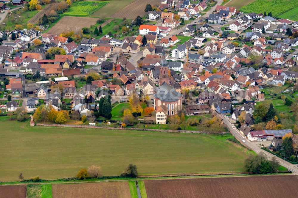 Aerial photograph Schuttern - Autumnal discolored vegetation view Urban area with outskirts and inner city area on the edge of agricultural fields and arable land in Schuttern in the state Baden-Wuerttemberg, Germany