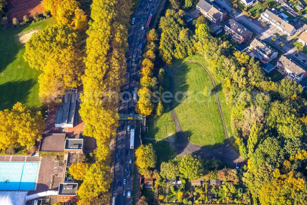 Gladbeck from the bird's eye view: Autumnal discolored vegetation view street - road guidance of Essener Strasse next to a meadow at the allotment club KGV Am Stadion e.V. on street Bohmertstrasse in Gladbeck at Ruhrgebiet in the state North Rhine-Westphalia, Germany