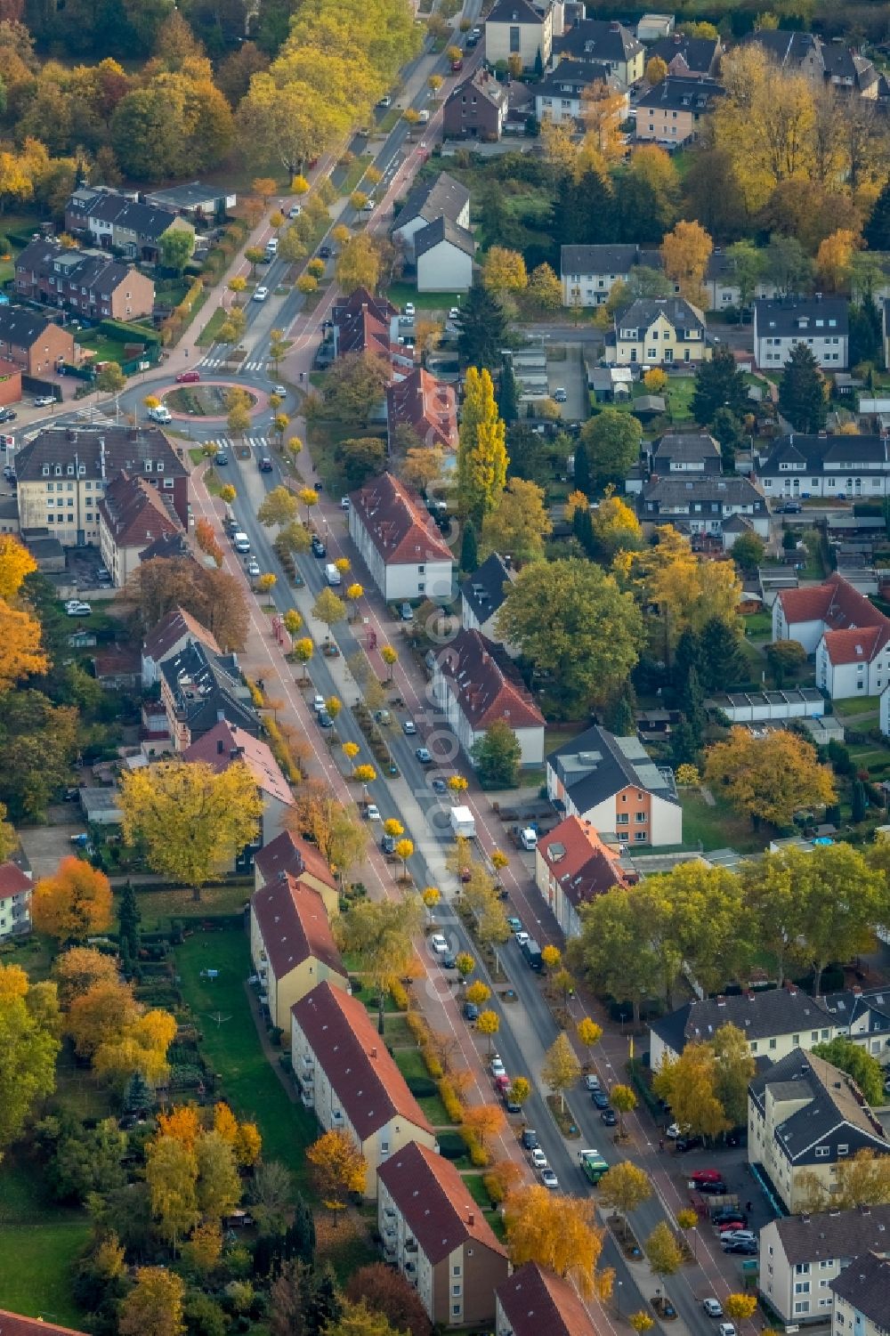 Aerial photograph Gladbeck - Autumnal discolored vegetation view Street - road guidance of Horster Strasse in Gladbeck in the state North Rhine-Westphalia, Germany