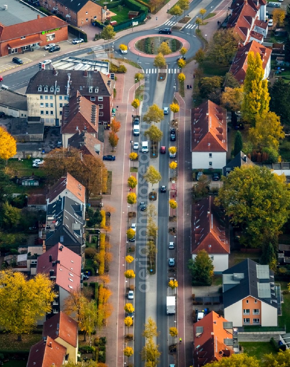 Gladbeck from the bird's eye view: Autumnal discolored vegetation view Street - road guidance of Horster Strasse in Gladbeck in the state North Rhine-Westphalia, Germany