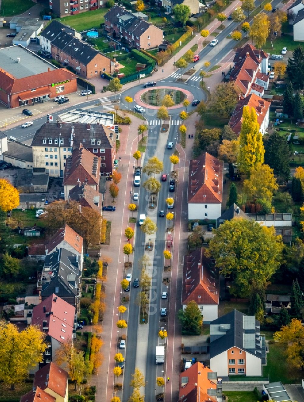 Aerial photograph Gladbeck - Autumnal discolored vegetation view Street - road guidance of Horster Strasse in Gladbeck in the state North Rhine-Westphalia, Germany