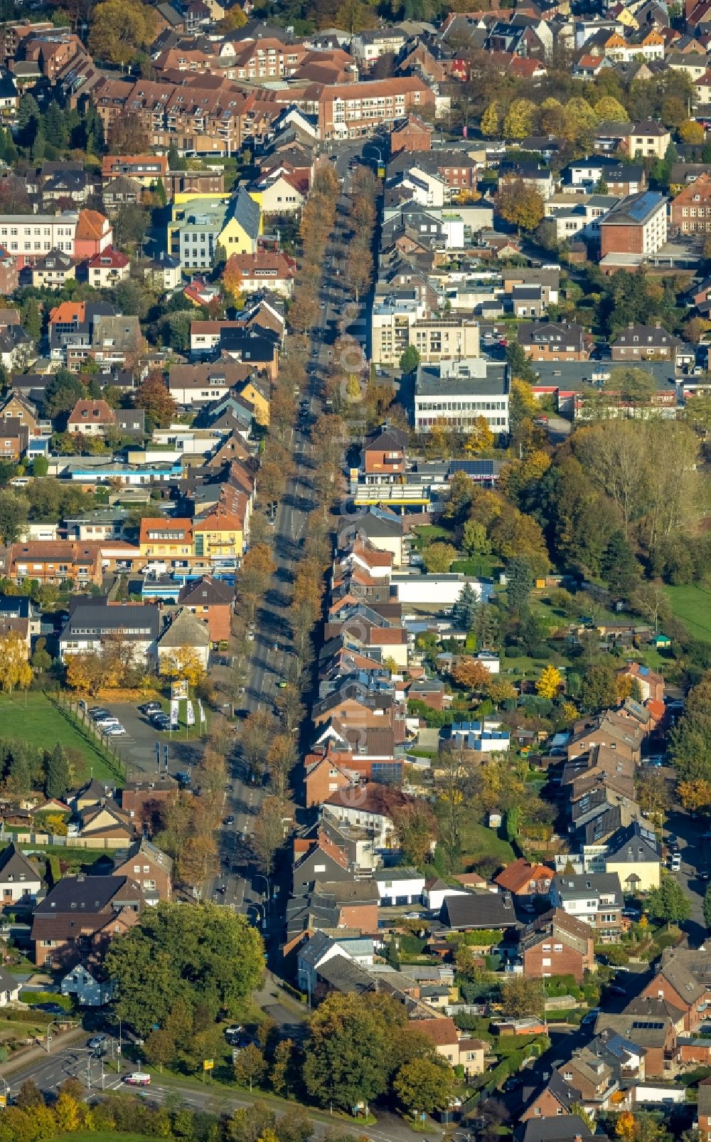 Haltern am See from the bird's eye view: Autumnal discolored vegetation view rows of trees on the edge of the road guidance of Weseler Strasse in Haltern am See in the state North Rhine-Westphalia, Germany